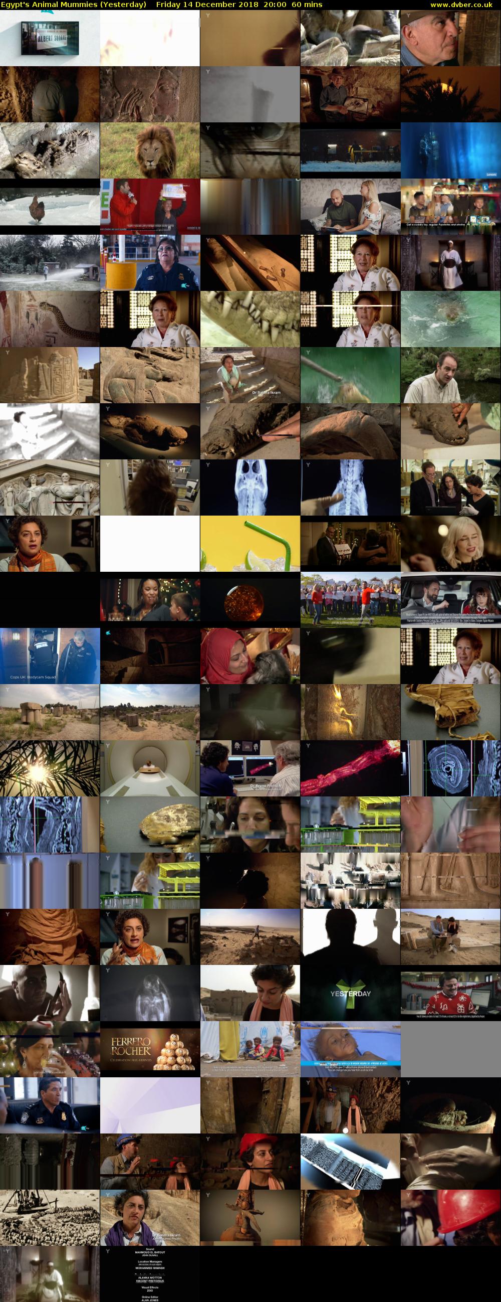 Egypt's Animal Mummies (Yesterday) Friday 14 December 2018 20:00 - 21:00