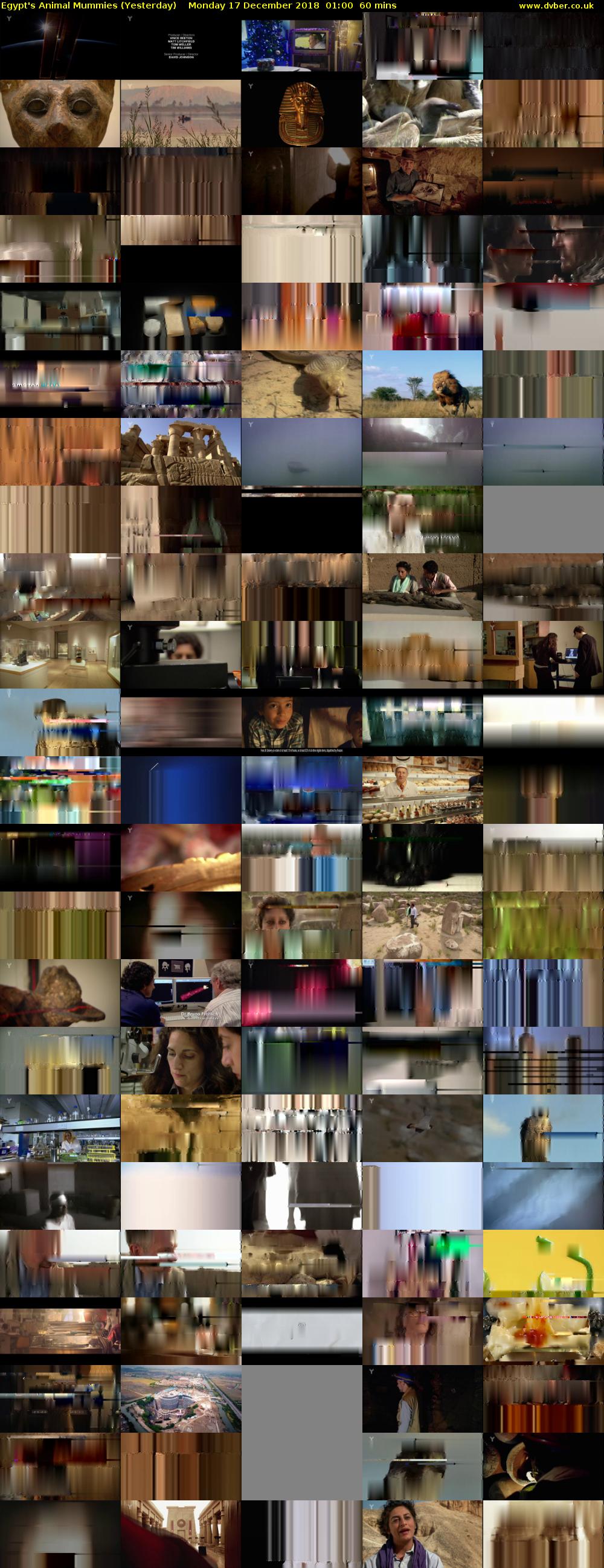 Egypt's Animal Mummies (Yesterday) Monday 17 December 2018 01:00 - 02:00