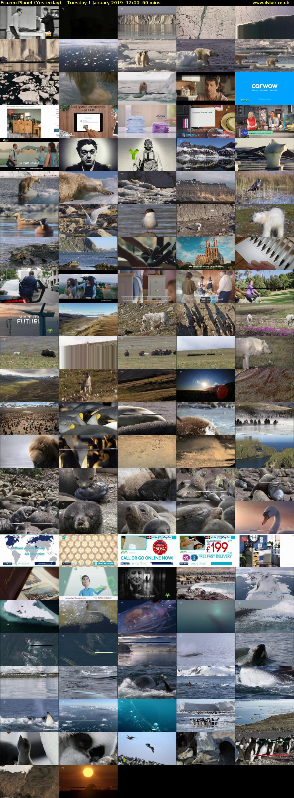 Frozen Planet (Yesterday) Tuesday 1 January 2019 12:00 - 13:00