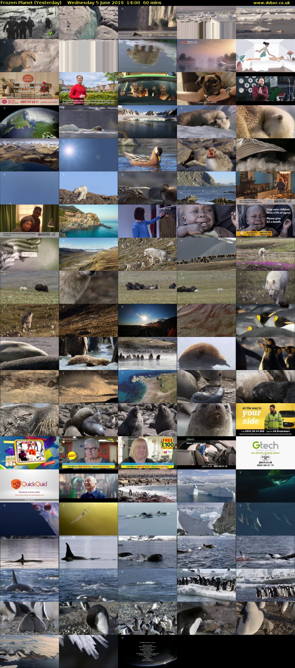Frozen Planet (Yesterday) Wednesday 5 June 2019 14:00 - 15:00