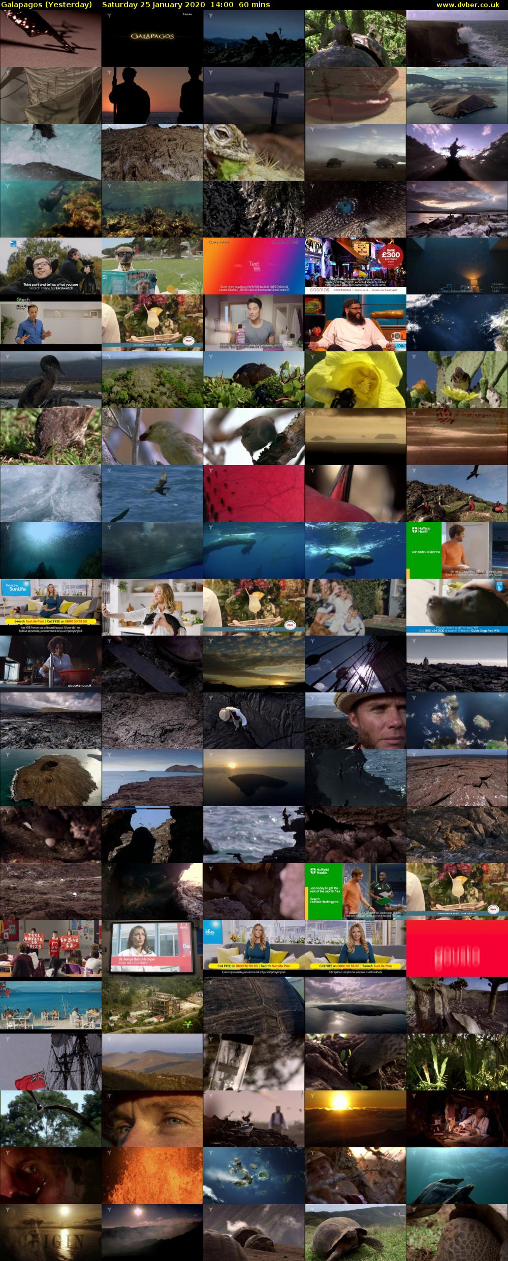 Galapagos (Yesterday) Saturday 25 January 2020 14:00 - 15:00