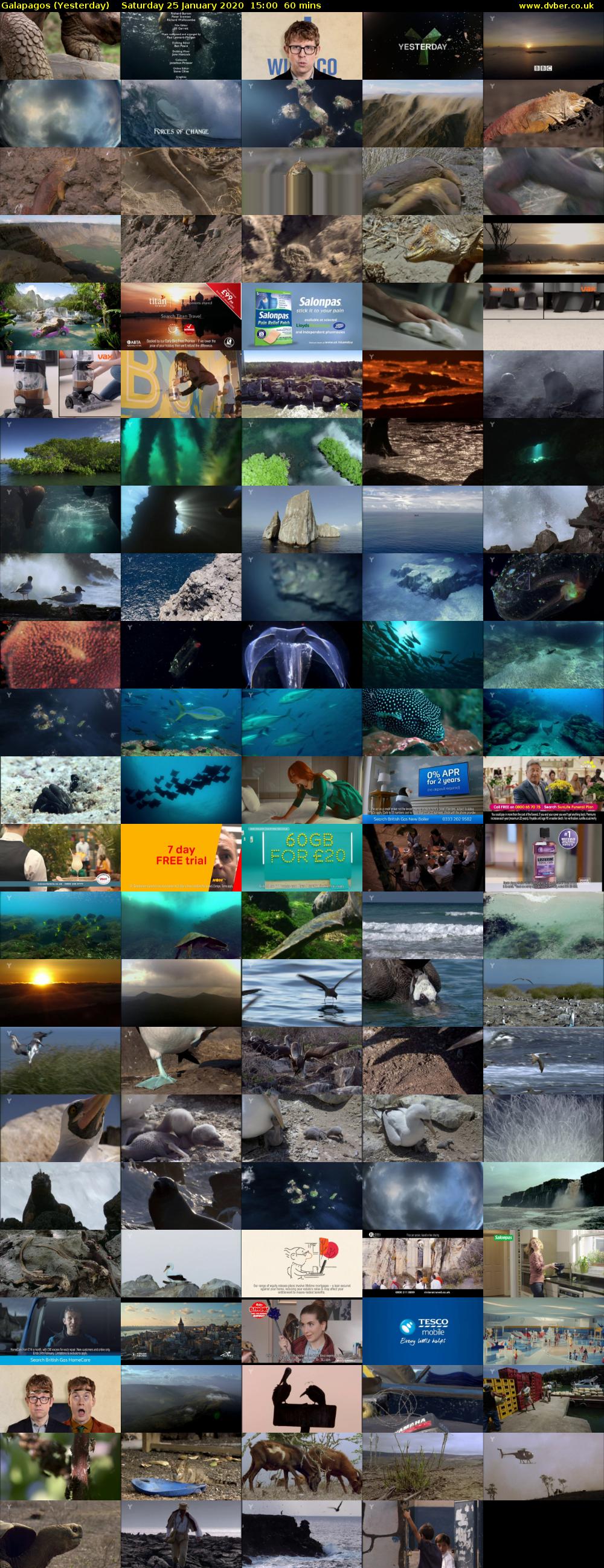 Galapagos (Yesterday) Saturday 25 January 2020 15:00 - 16:00