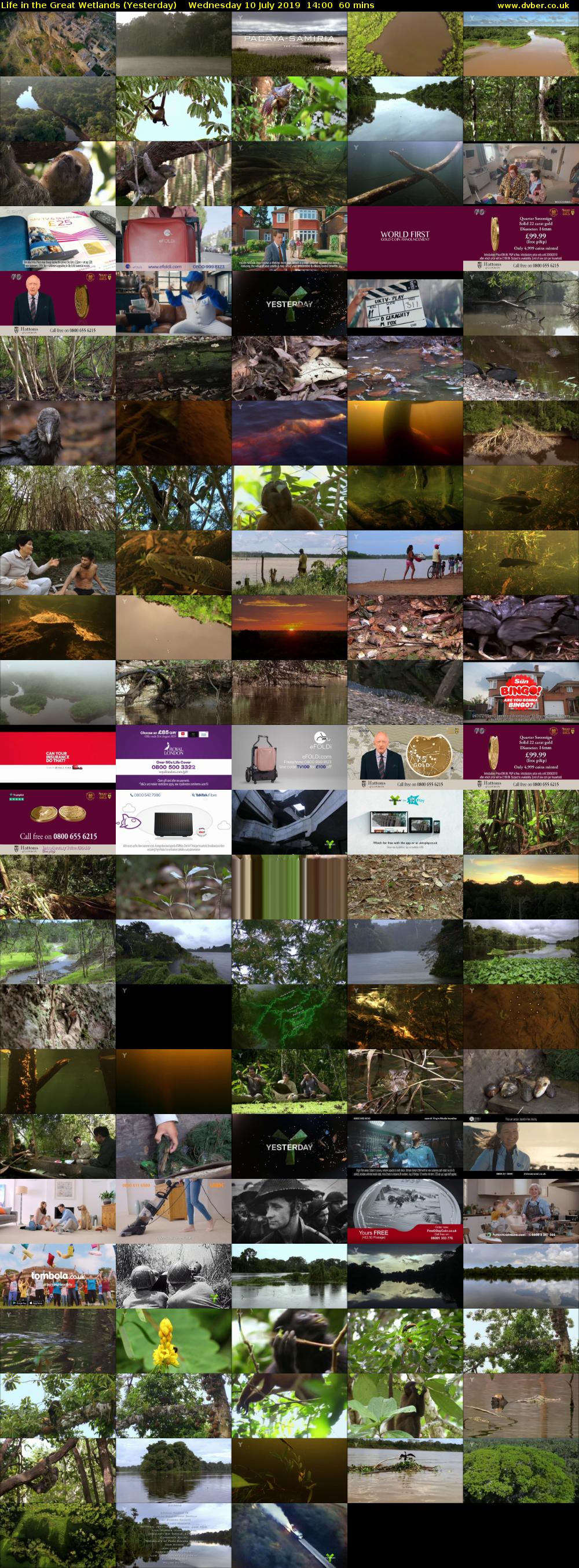 Life in the Great Wetlands (Yesterday) Wednesday 10 July 2019 14:00 - 15:00