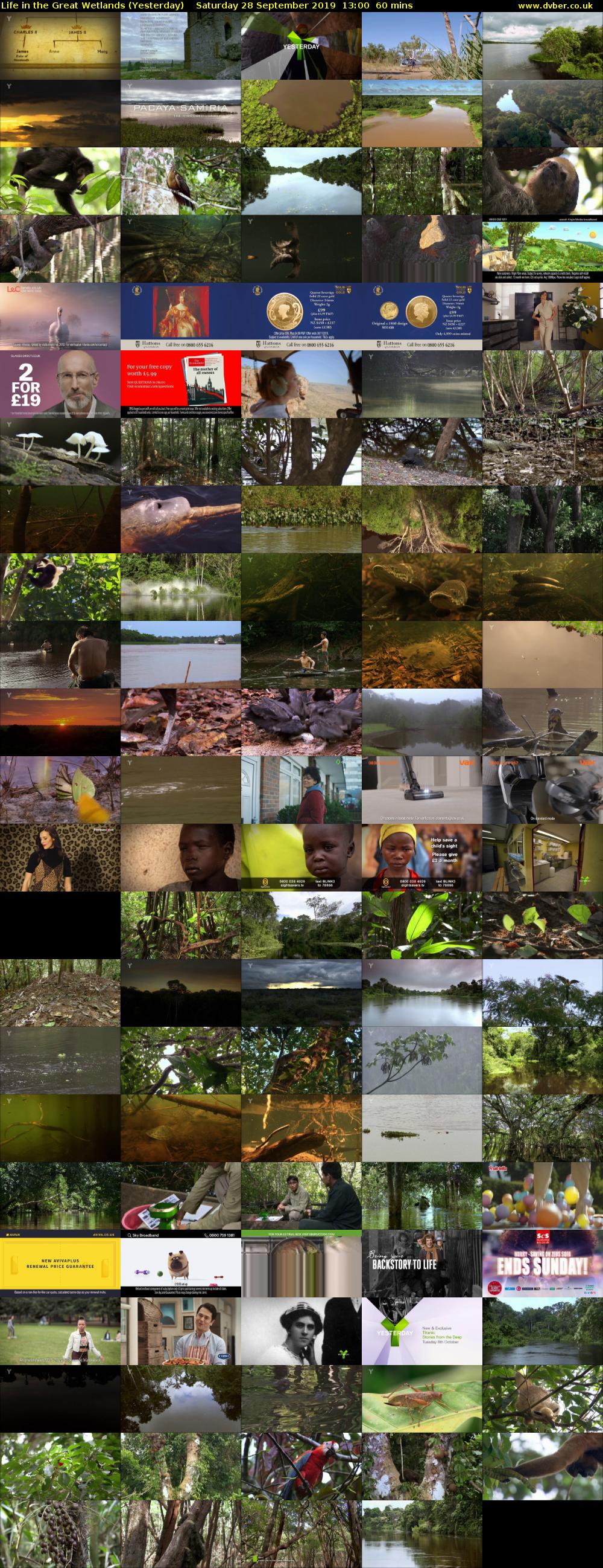 Life in the Great Wetlands (Yesterday) Saturday 28 September 2019 13:00 - 14:00