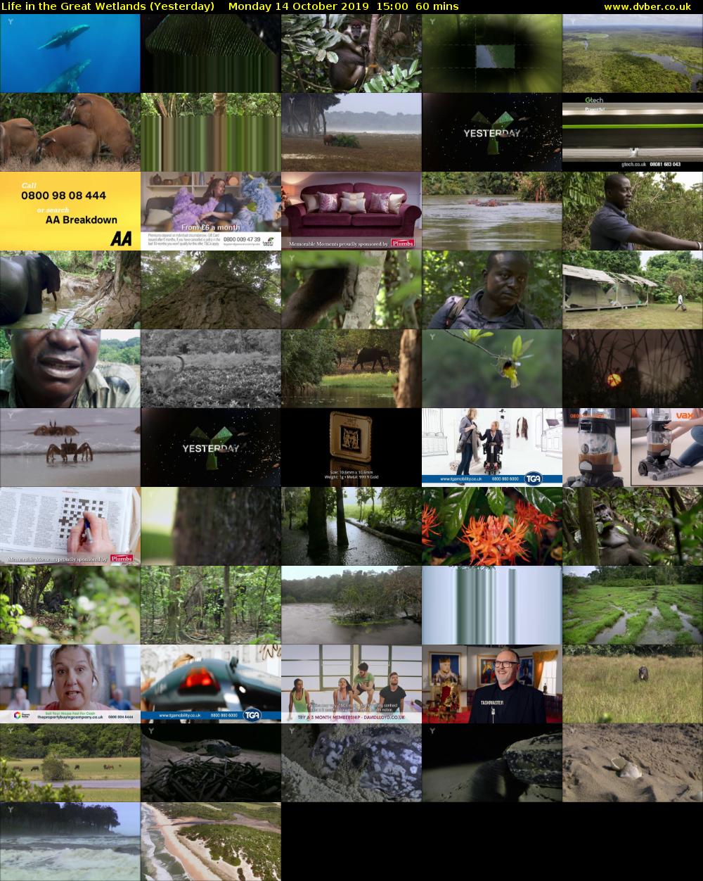 Life in the Great Wetlands (Yesterday) Monday 14 October 2019 15:00 - 16:00