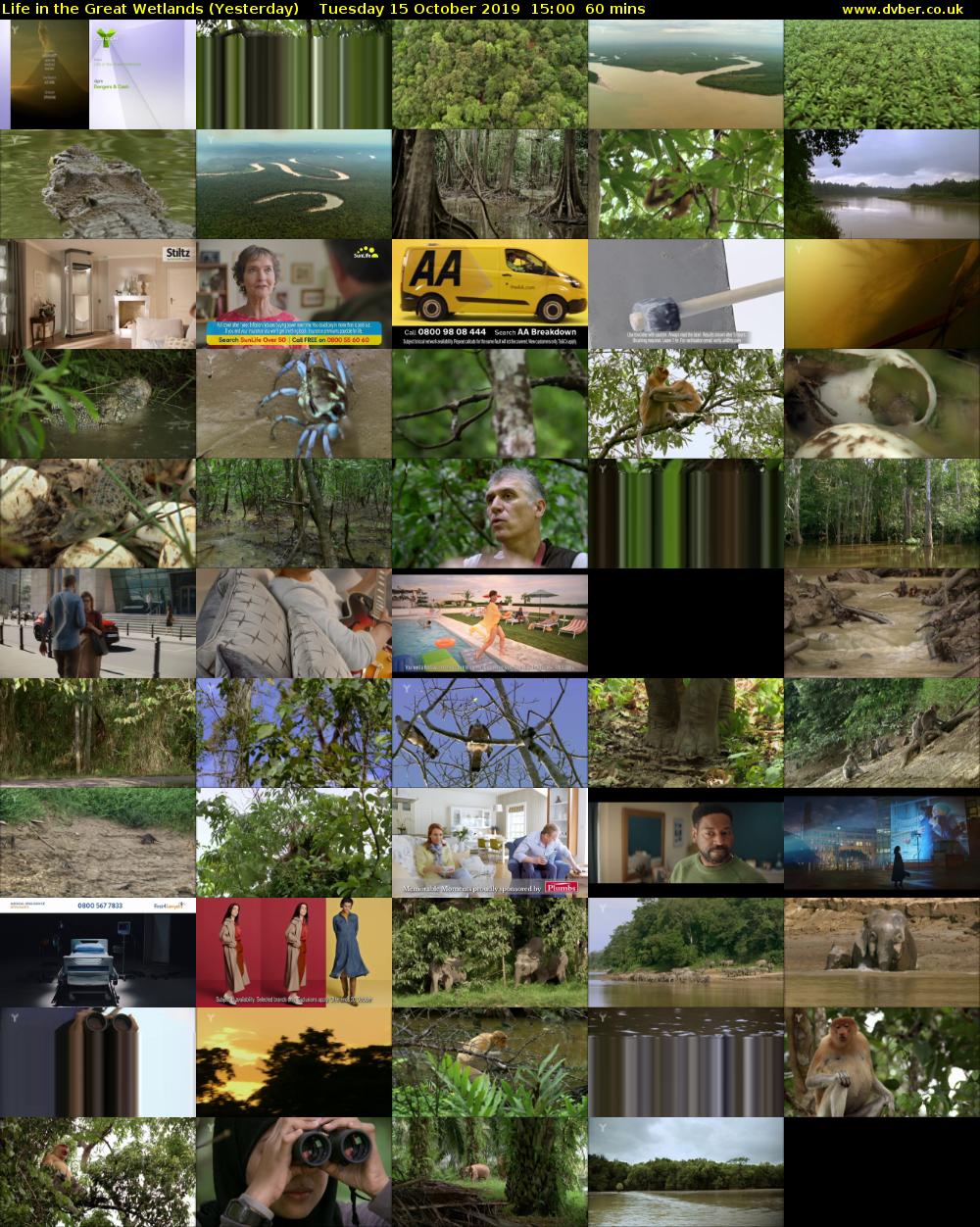 Life in the Great Wetlands (Yesterday) Tuesday 15 October 2019 15:00 - 16:00