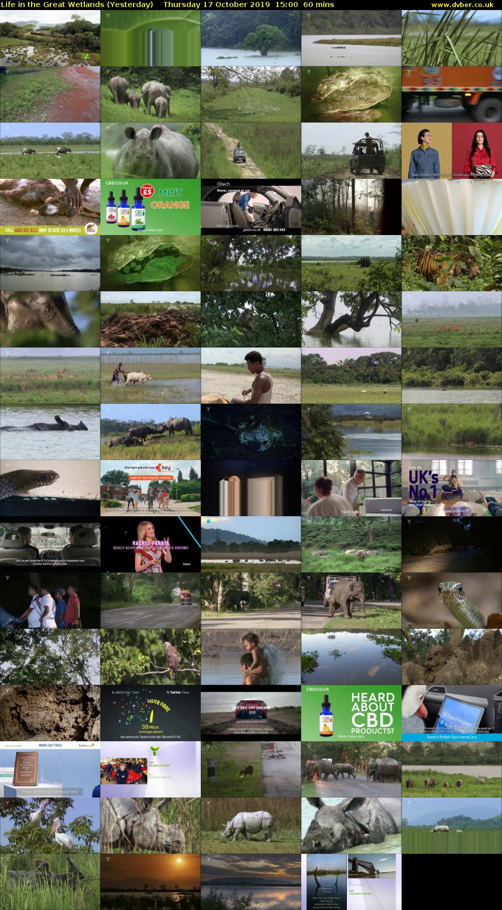 Life in the Great Wetlands (Yesterday) Thursday 17 October 2019 15:00 - 16:00