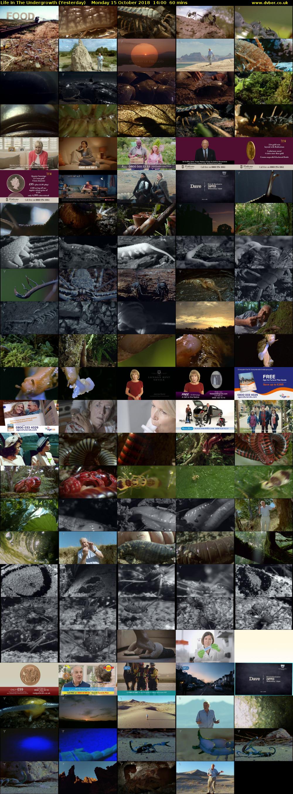 Life in the Undergrowth (Yesterday) Monday 15 October 2018 14:00 - 15:00