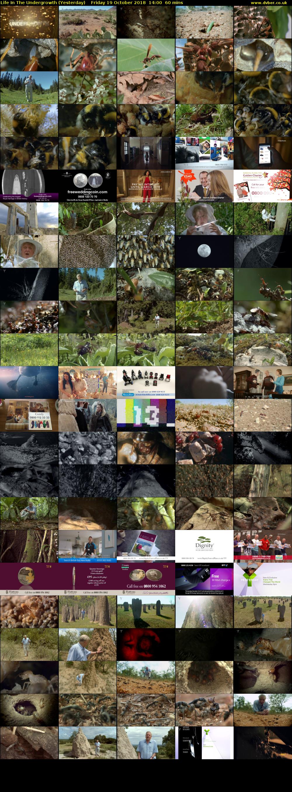 Life in the Undergrowth (Yesterday) Friday 19 October 2018 14:00 - 15:00