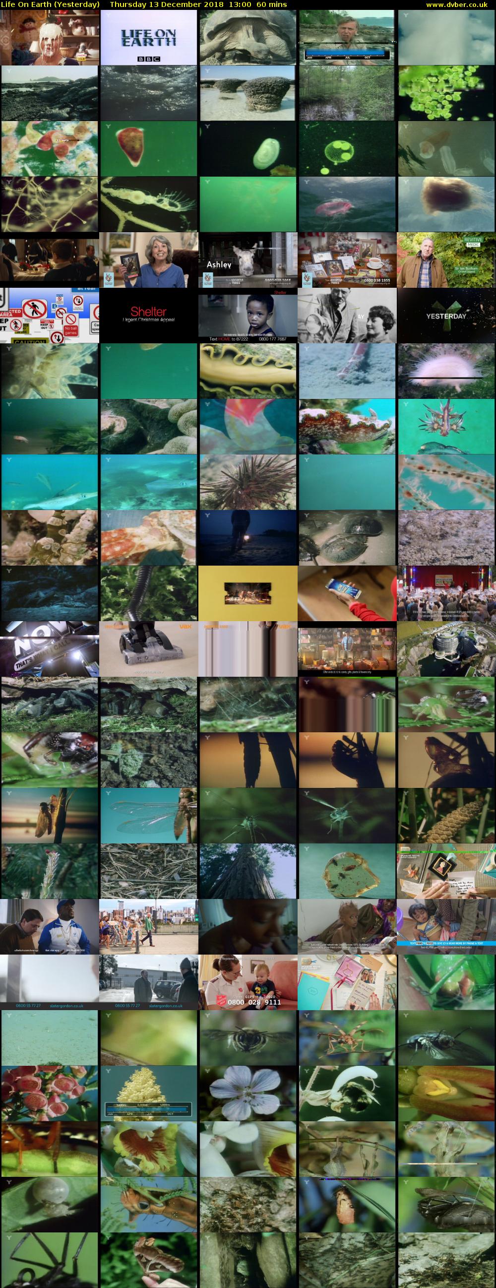 Life on Earth (Yesterday) Thursday 13 December 2018 13:00 - 14:00