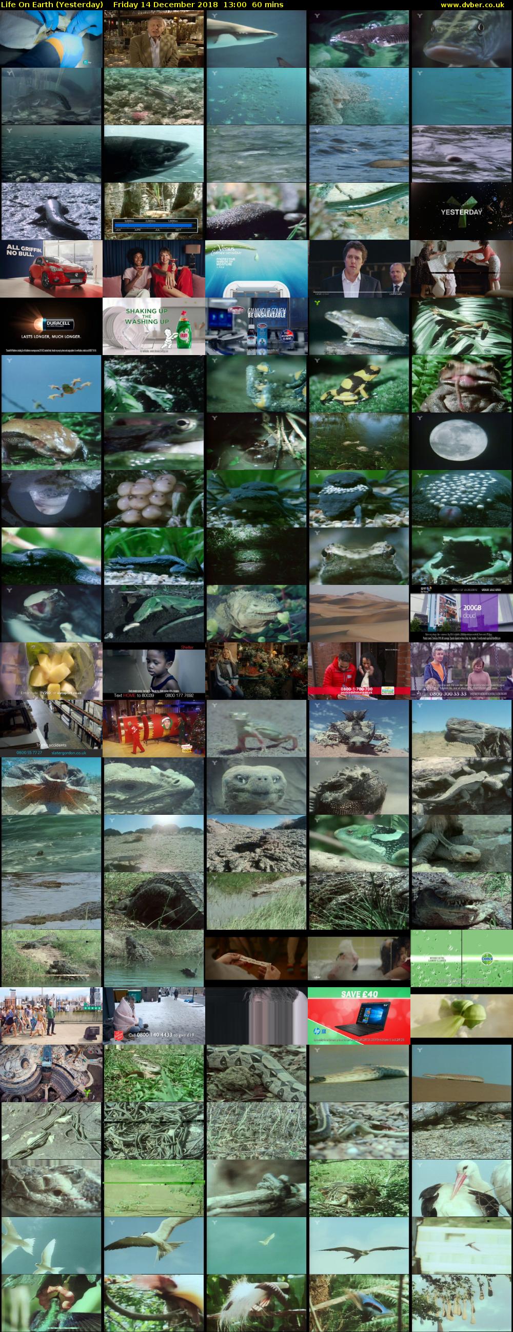 Life on Earth (Yesterday) Friday 14 December 2018 13:00 - 14:00