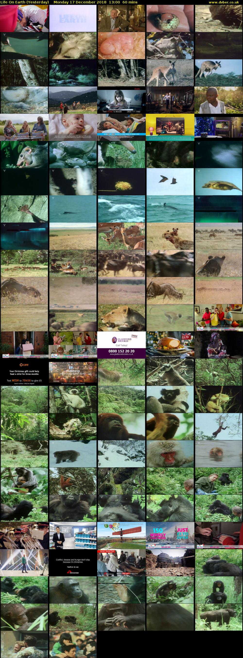 Life on Earth (Yesterday) Monday 17 December 2018 13:00 - 14:00