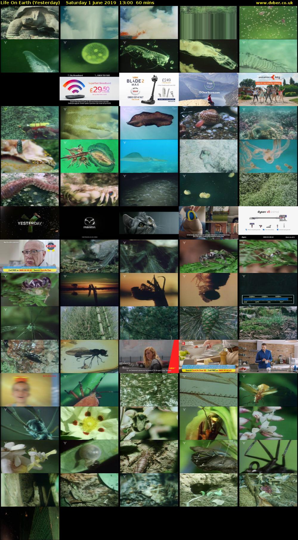 Life on Earth (Yesterday) Saturday 1 June 2019 13:00 - 14:00