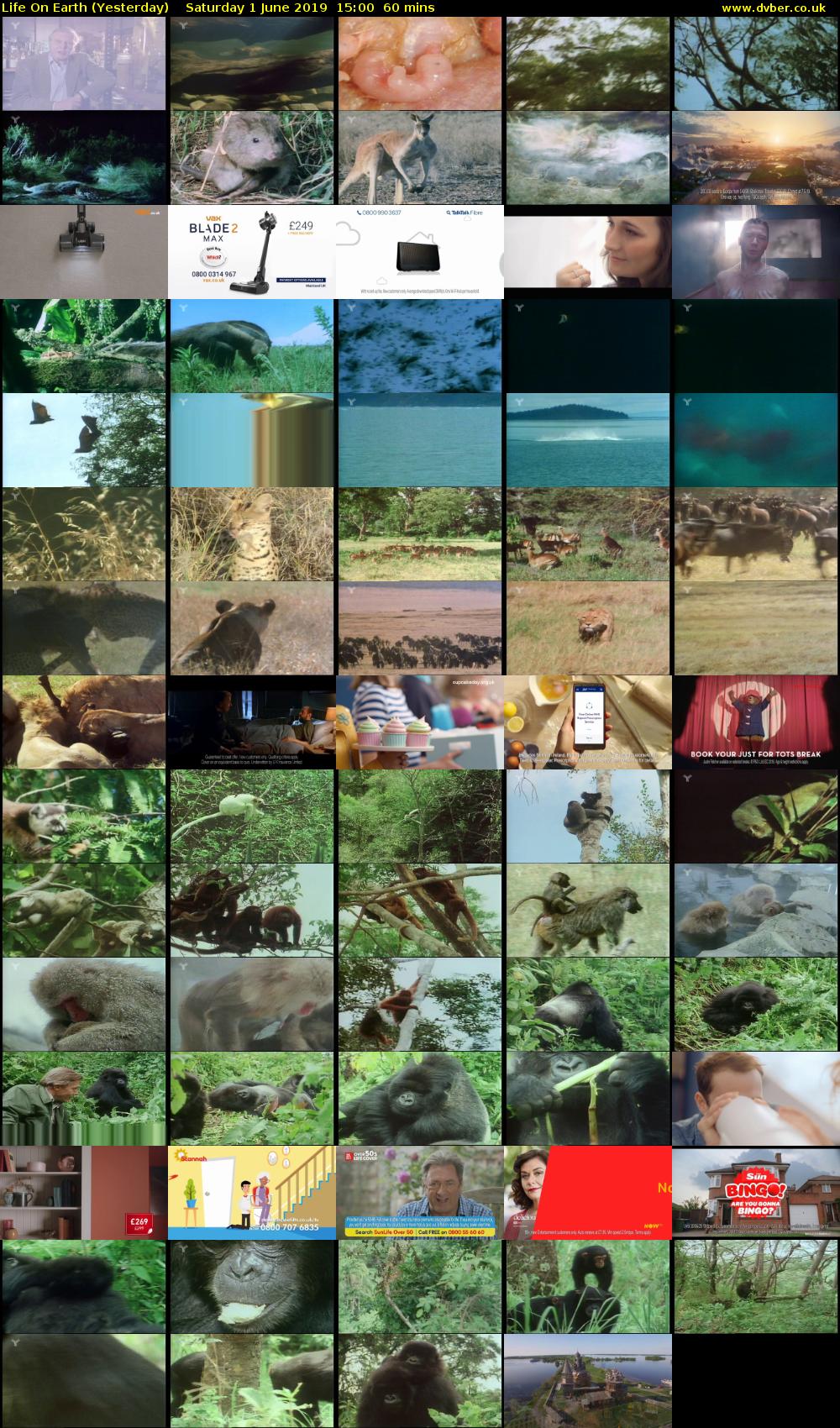 Life on Earth (Yesterday) Saturday 1 June 2019 15:00 - 16:00