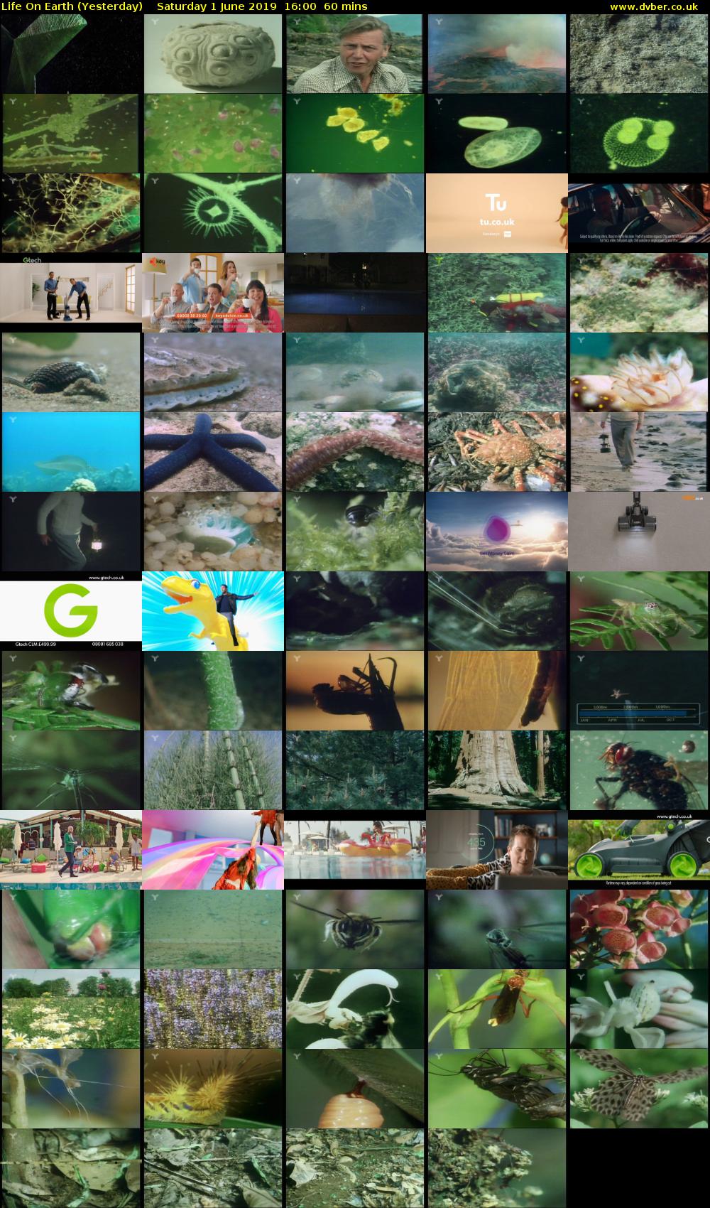 Life on Earth (Yesterday) Saturday 1 June 2019 16:00 - 17:00