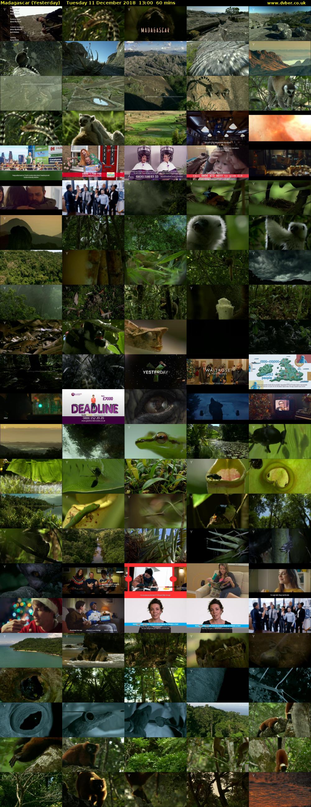 Madagascar (Yesterday) Tuesday 11 December 2018 13:00 - 14:00