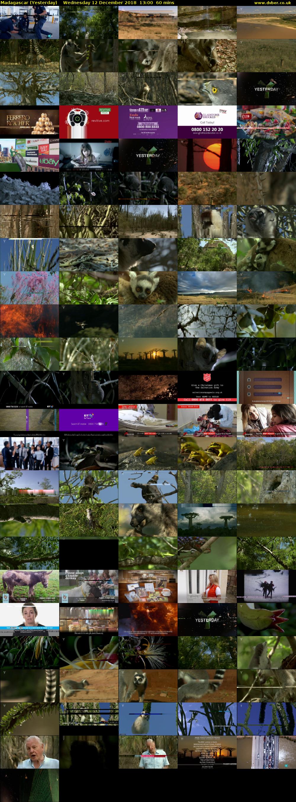 Madagascar (Yesterday) Wednesday 12 December 2018 13:00 - 14:00