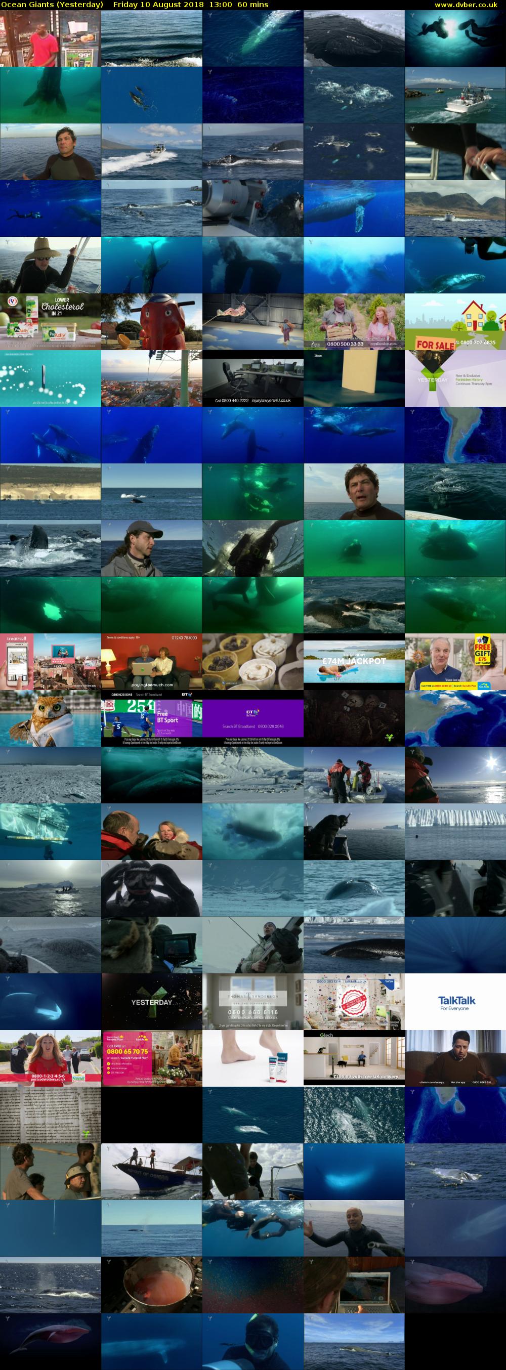 Ocean Giants (Yesterday) Friday 10 August 2018 13:00 - 14:00