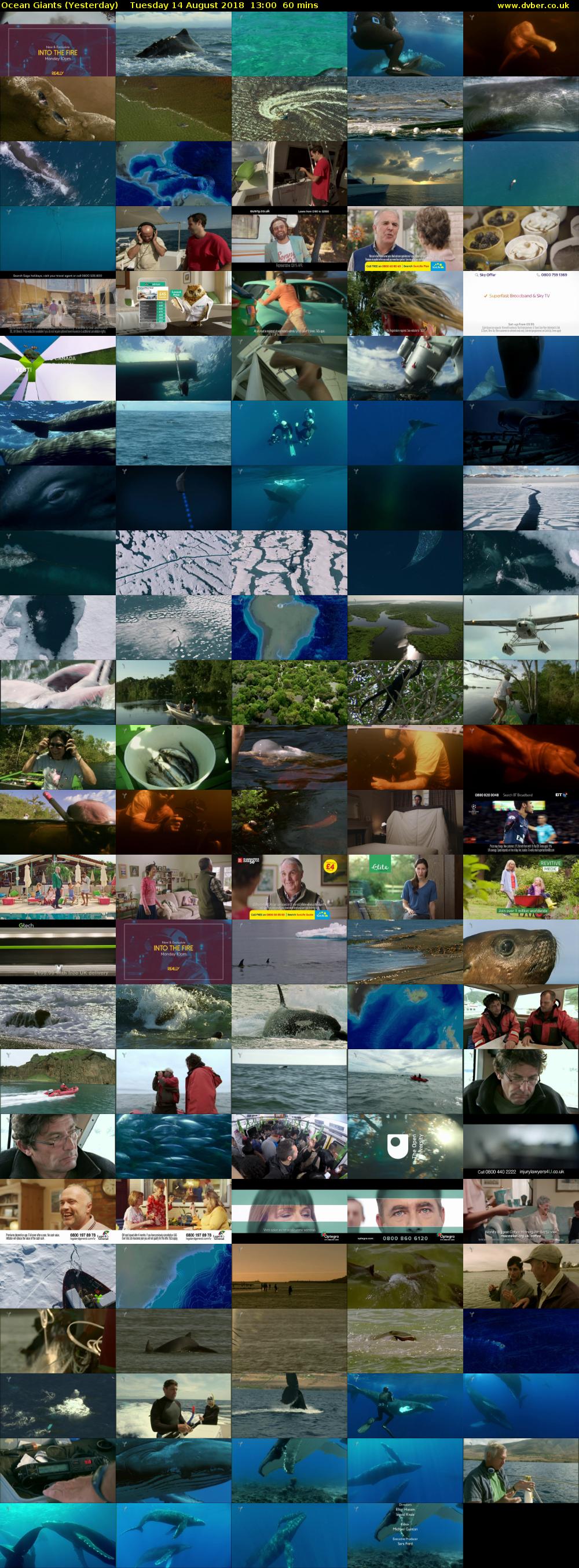 Ocean Giants (Yesterday) Tuesday 14 August 2018 13:00 - 14:00