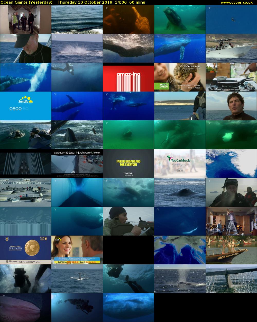Ocean Giants (Yesterday) Thursday 10 October 2019 14:00 - 15:00