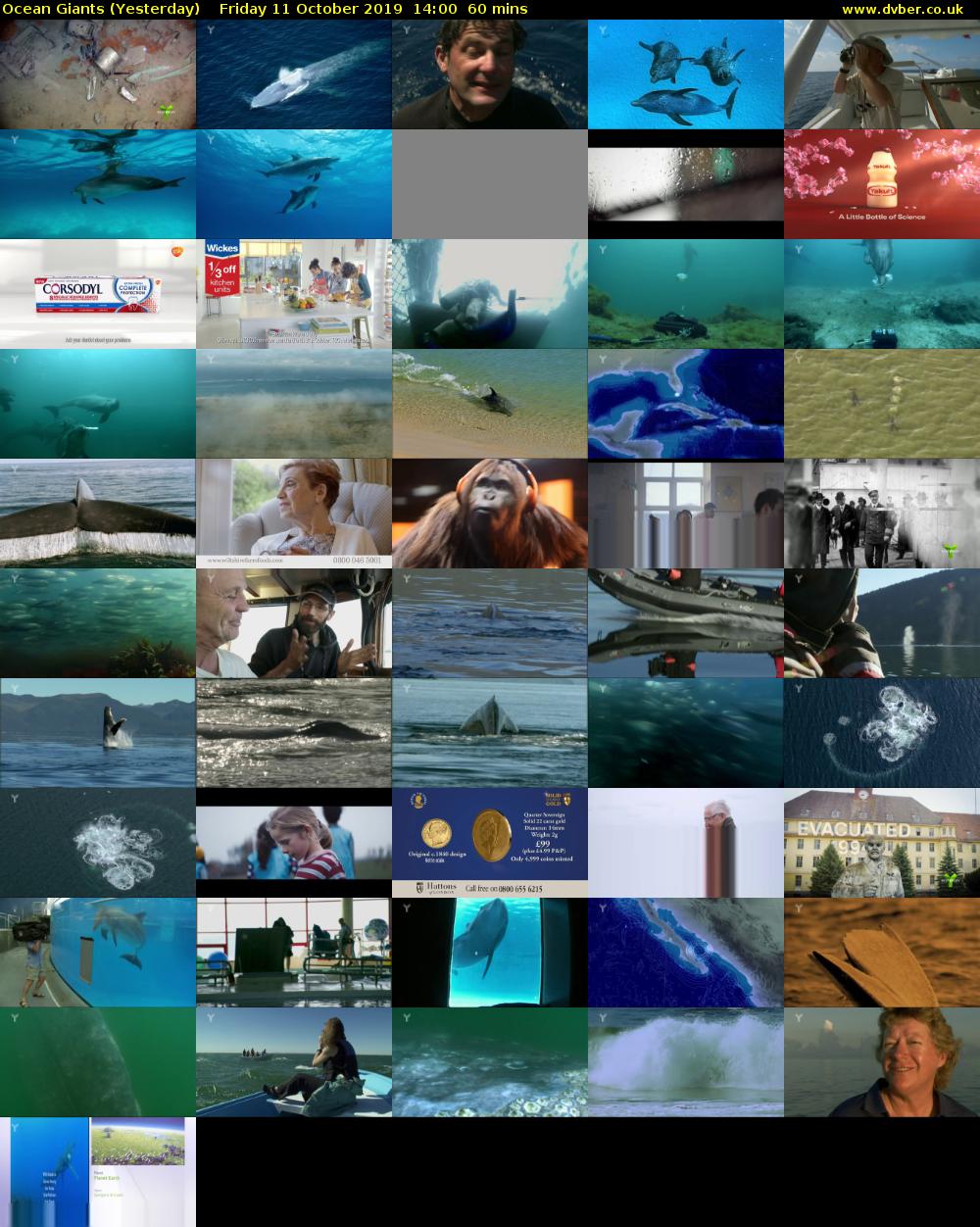 Ocean Giants (Yesterday) Friday 11 October 2019 14:00 - 15:00