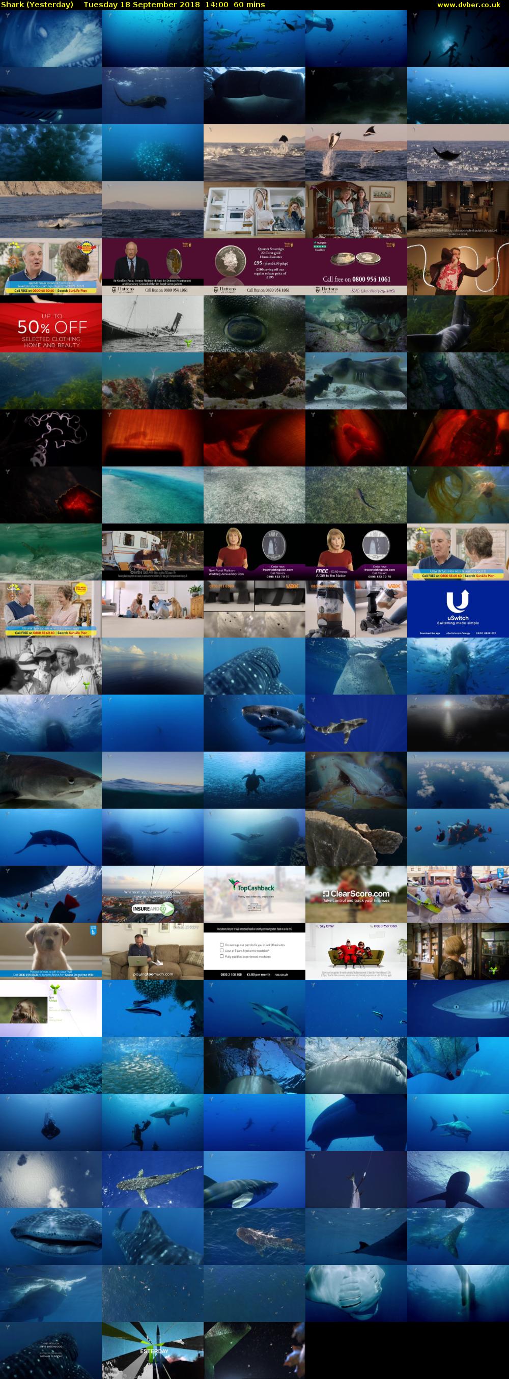 Shark (Yesterday) Tuesday 18 September 2018 14:00 - 15:00