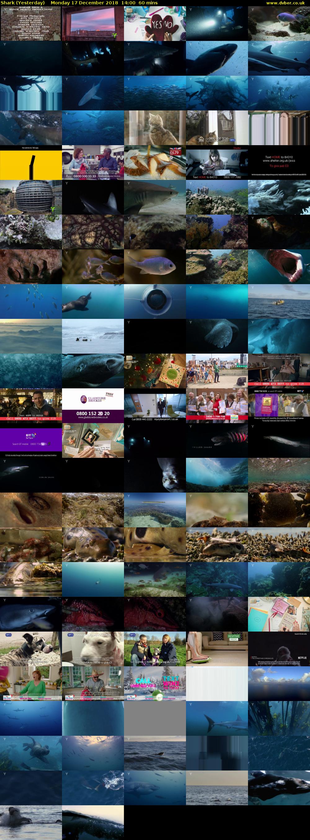 Shark (Yesterday) Monday 17 December 2018 14:00 - 15:00