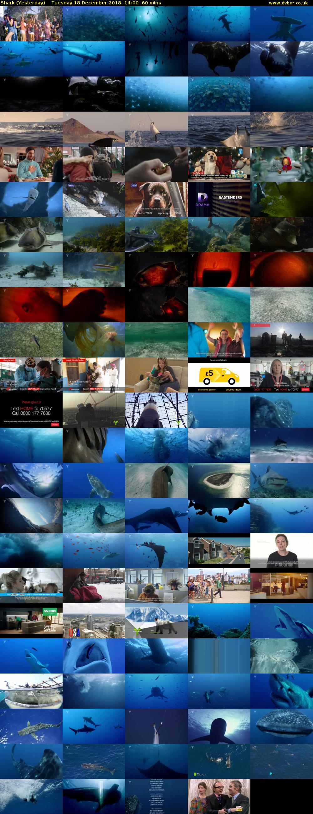 Shark (Yesterday) Tuesday 18 December 2018 14:00 - 15:00