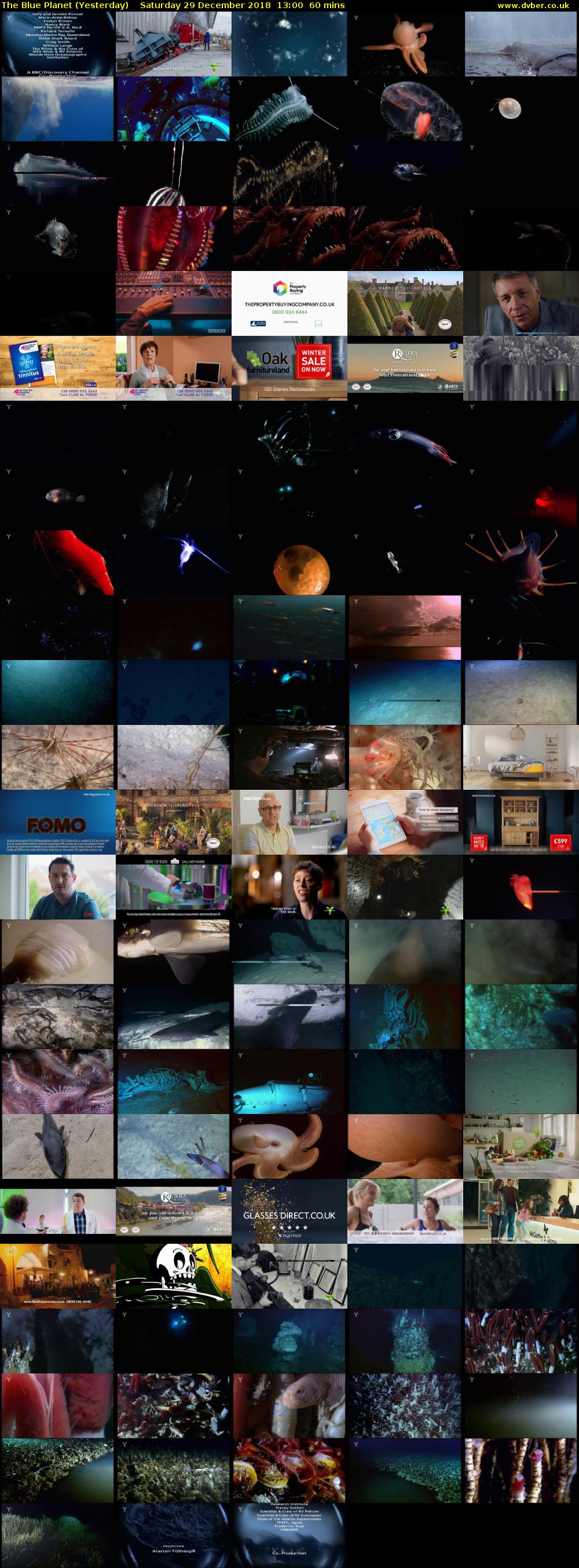 The Blue Planet (Yesterday) Saturday 29 December 2018 13:00 - 14:00