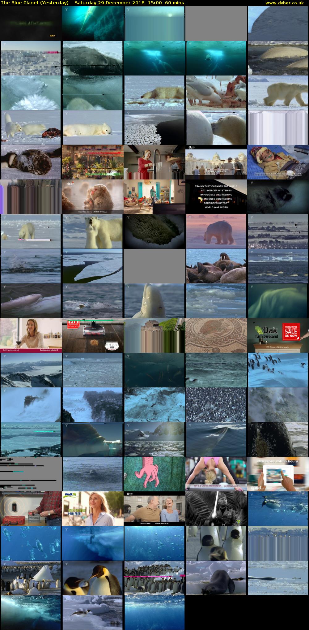 The Blue Planet (Yesterday) Saturday 29 December 2018 15:00 - 16:00