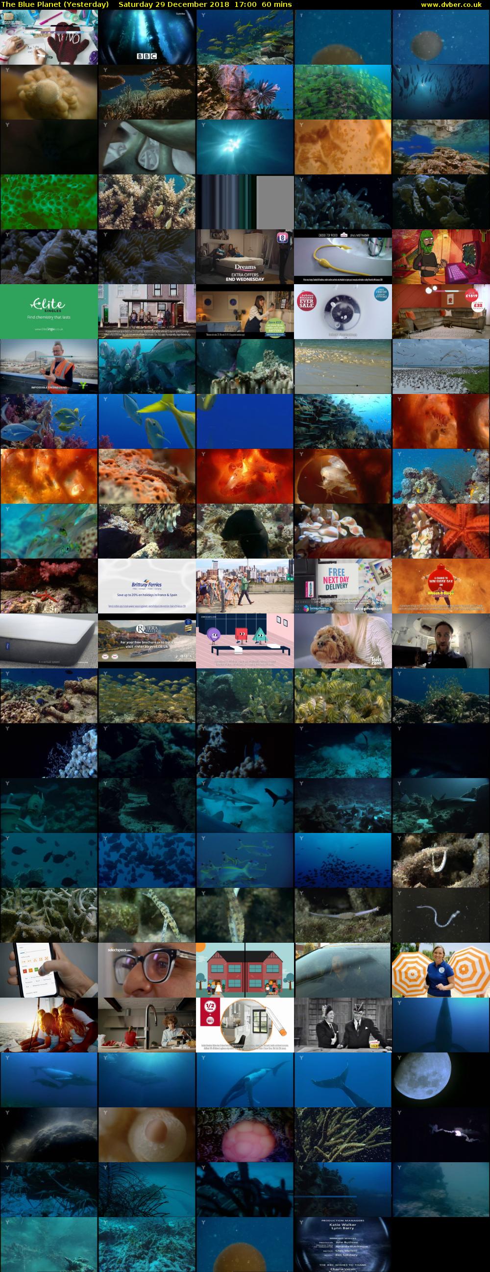 The Blue Planet (Yesterday) Saturday 29 December 2018 17:00 - 18:00