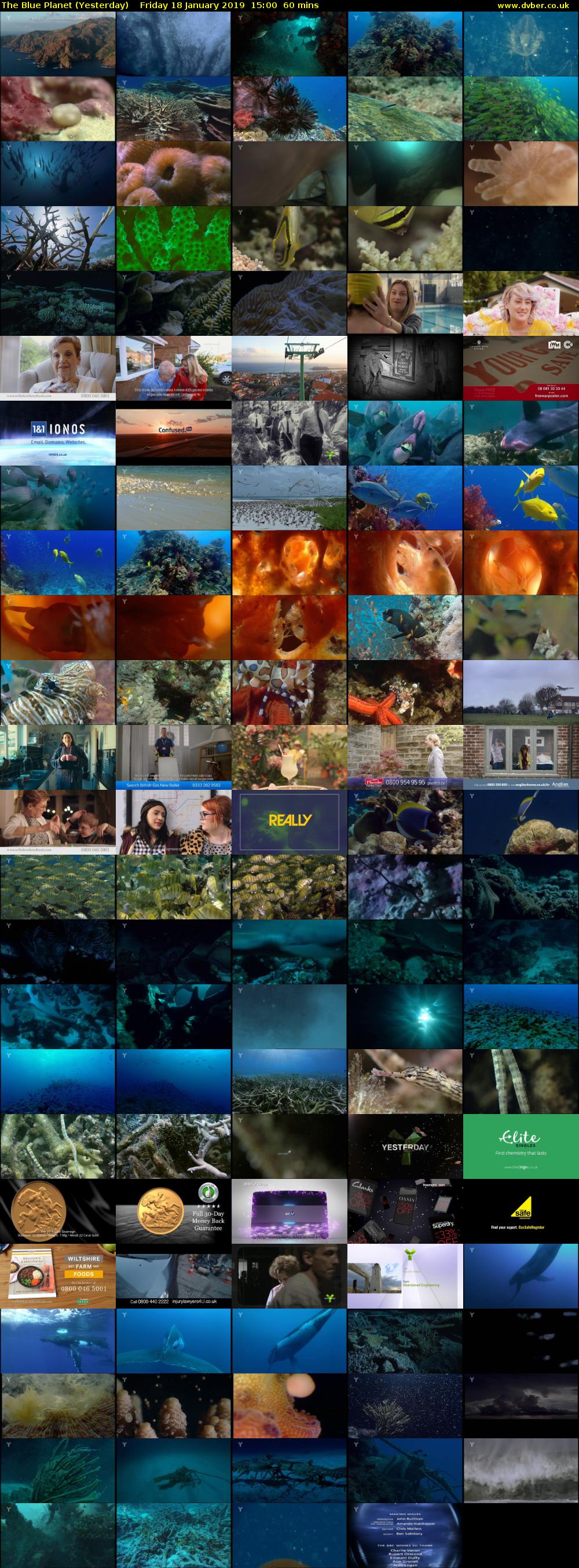 The Blue Planet (Yesterday) Friday 18 January 2019 15:00 - 16:00
