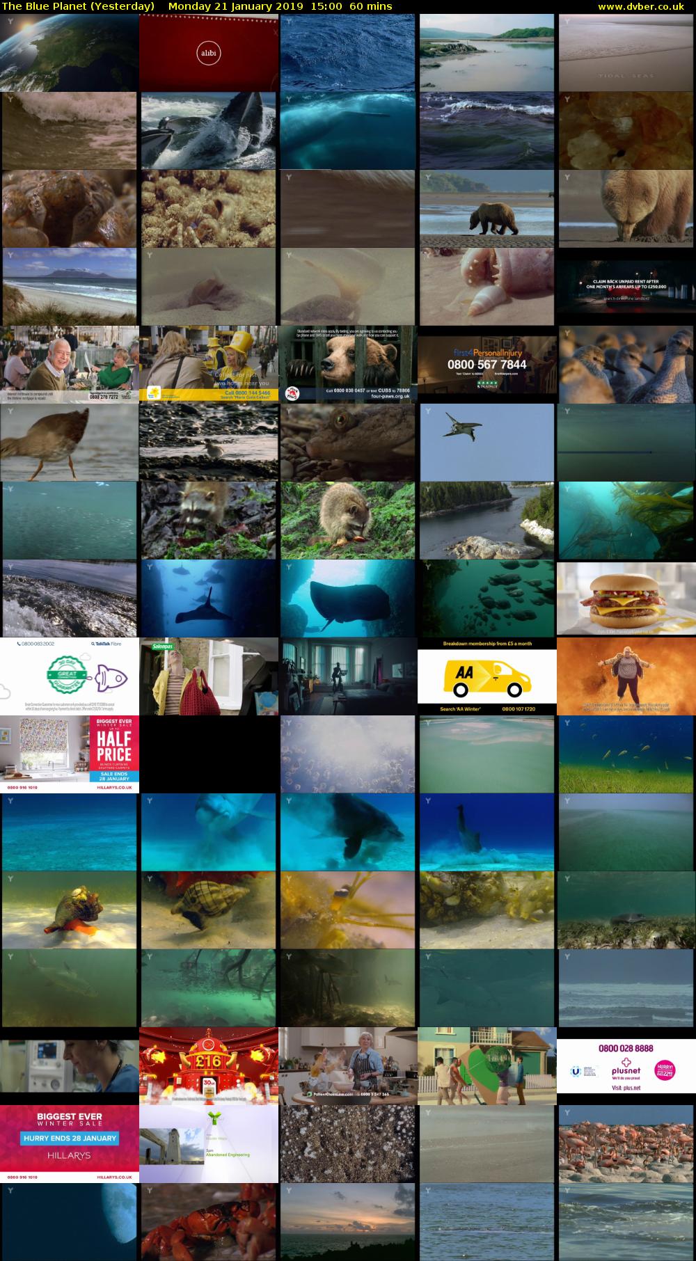 The Blue Planet (Yesterday) Monday 21 January 2019 15:00 - 16:00