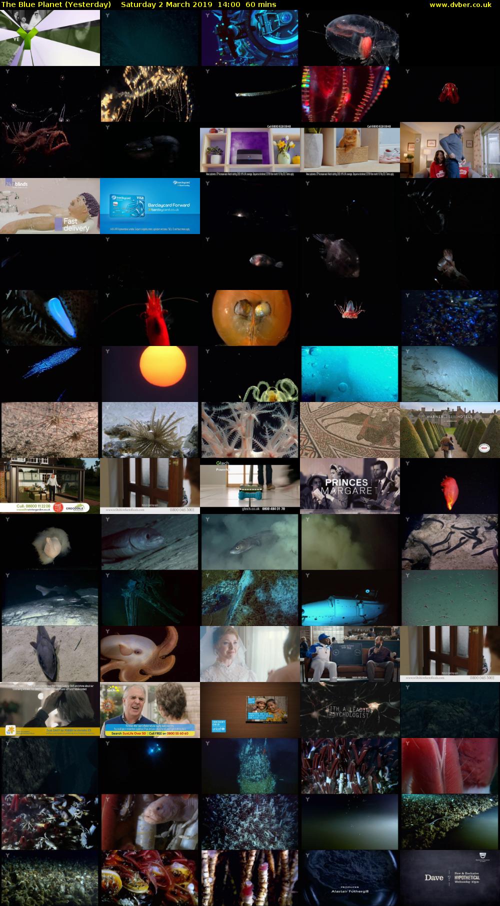 The Blue Planet (Yesterday) Saturday 2 March 2019 14:00 - 15:00