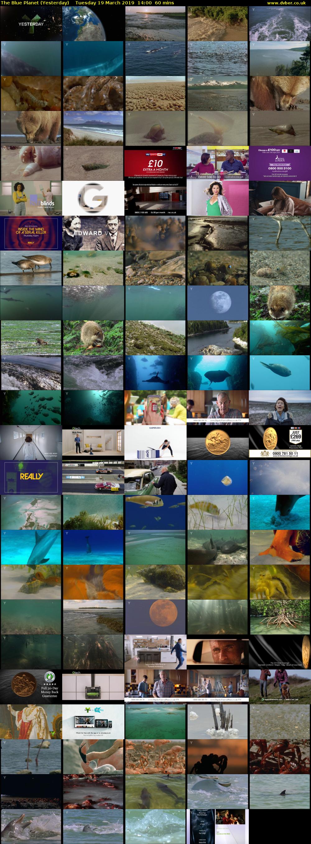 The Blue Planet (Yesterday) Tuesday 19 March 2019 14:00 - 15:00