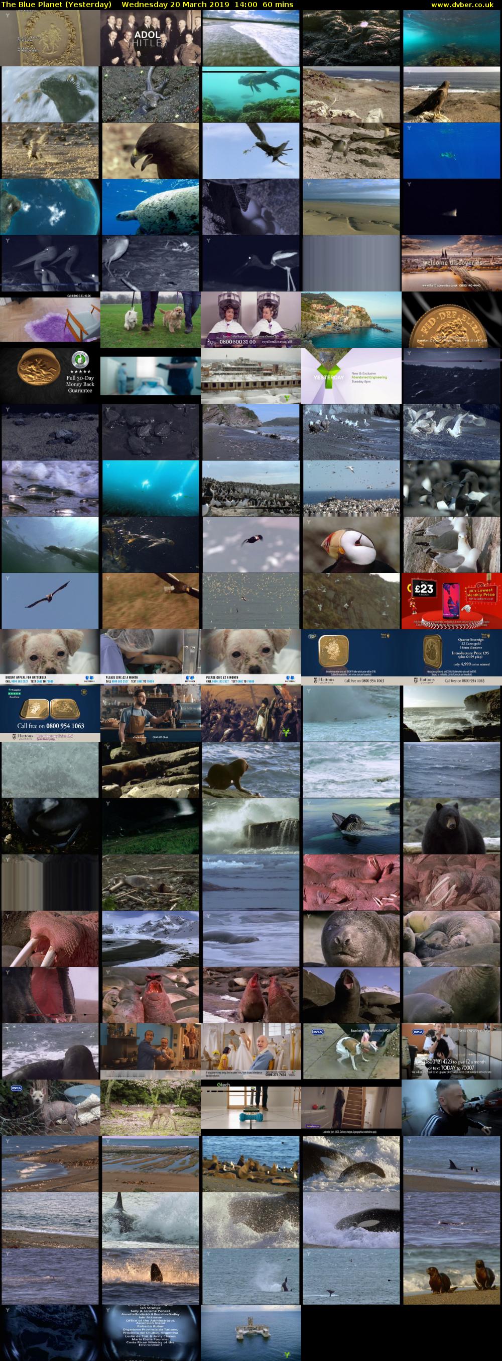 The Blue Planet (Yesterday) Wednesday 20 March 2019 14:00 - 15:00