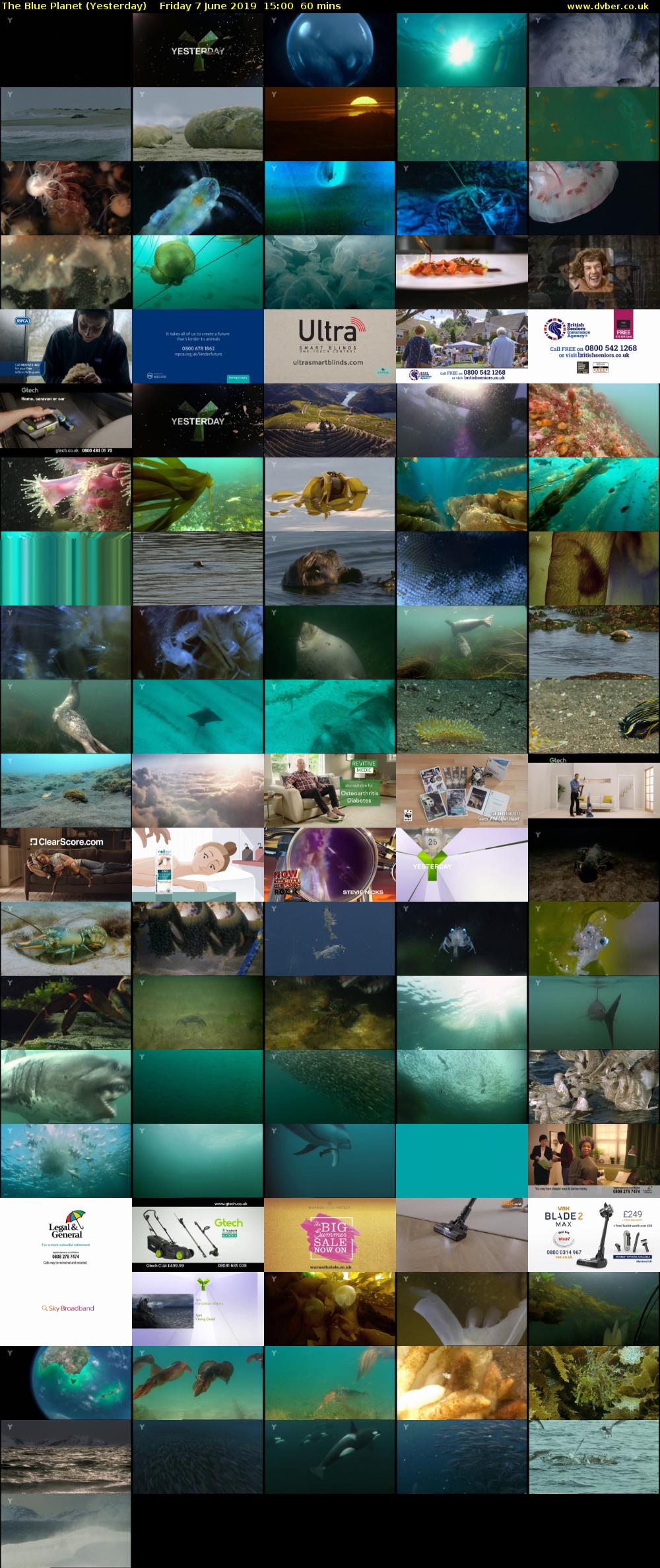 The Blue Planet (Yesterday) Friday 7 June 2019 15:00 - 16:00