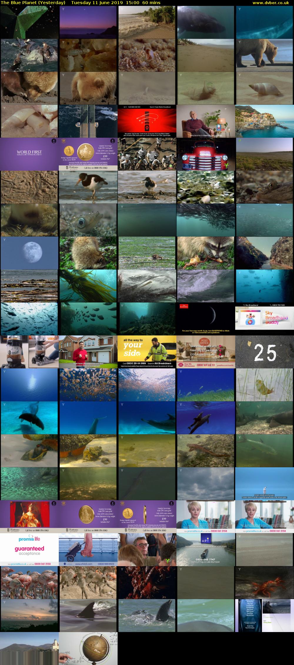 The Blue Planet (Yesterday) Tuesday 11 June 2019 15:00 - 16:00