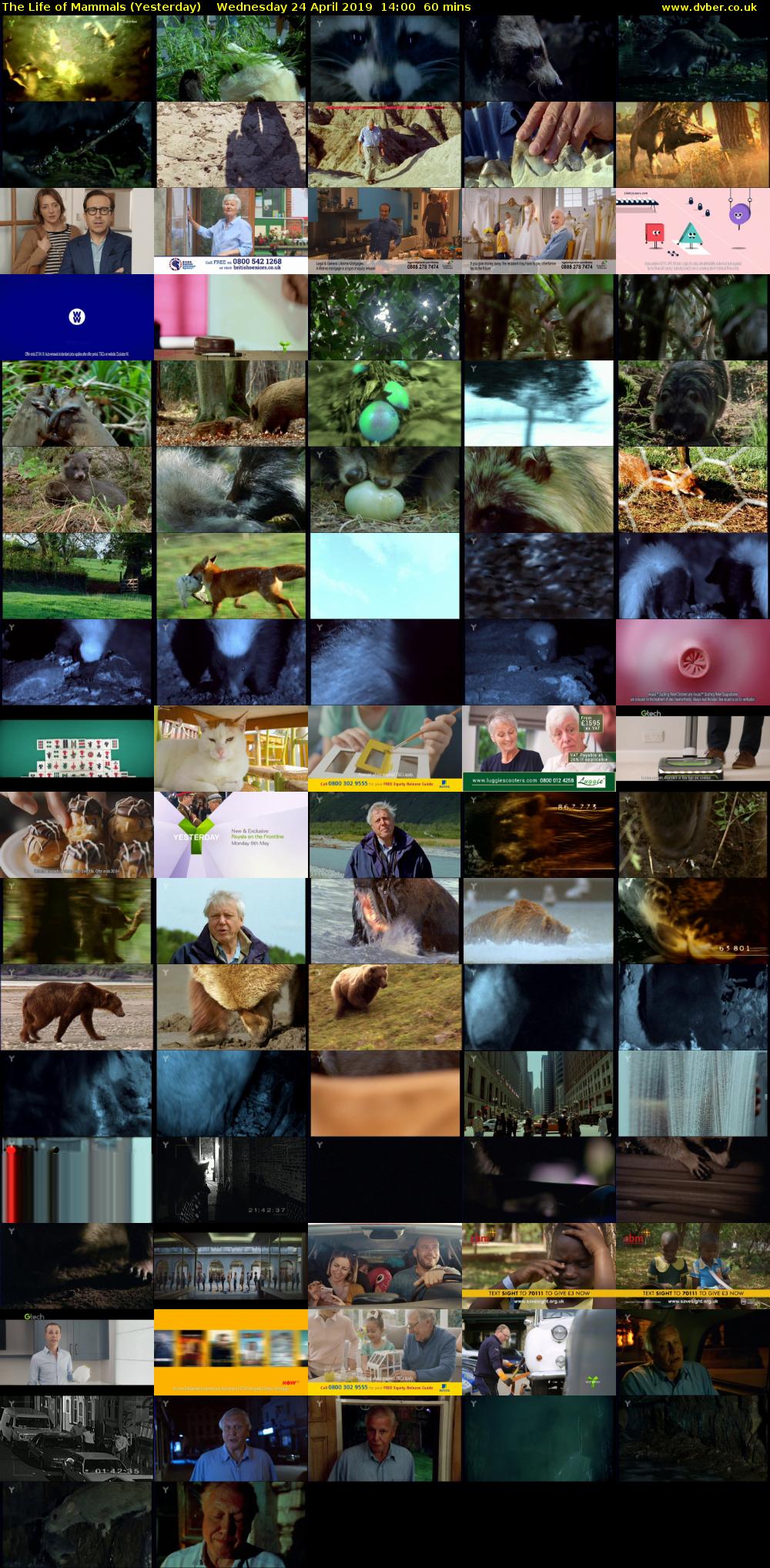 The Life of Mammals (Yesterday) Wednesday 24 April 2019 14:00 - 15:00