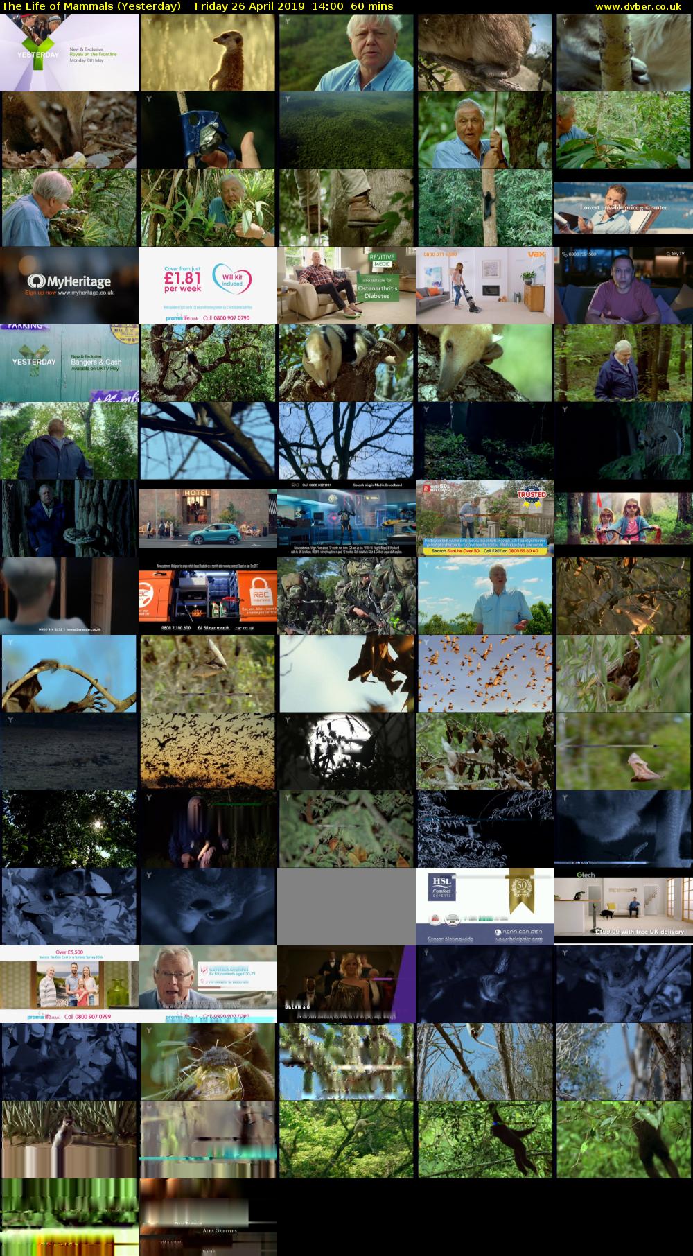 The Life of Mammals (Yesterday) Friday 26 April 2019 14:00 - 15:00