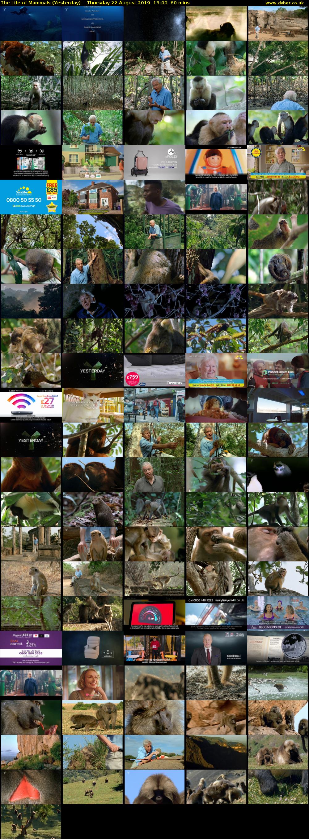 The Life of Mammals (Yesterday) Thursday 22 August 2019 15:00 - 16:00