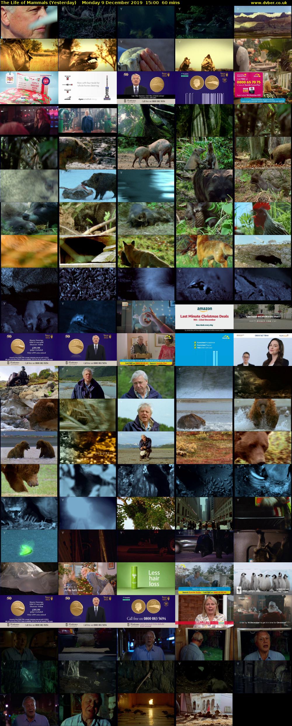 The Life of Mammals (Yesterday) Monday 9 December 2019 15:00 - 16:00