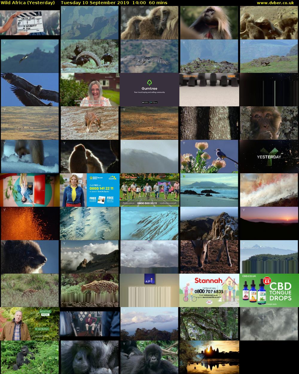 Wild Africa (Yesterday) Tuesday 10 September 2019 14:00 - 15:00