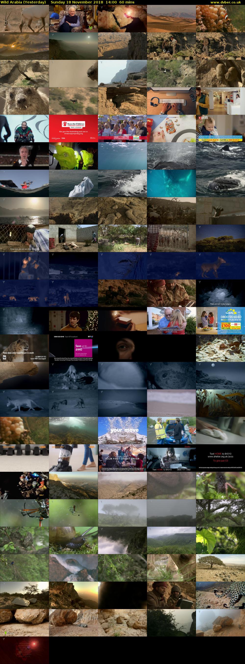 Wild Arabia (Yesterday) Sunday 18 November 2018 14:00 - 15:00