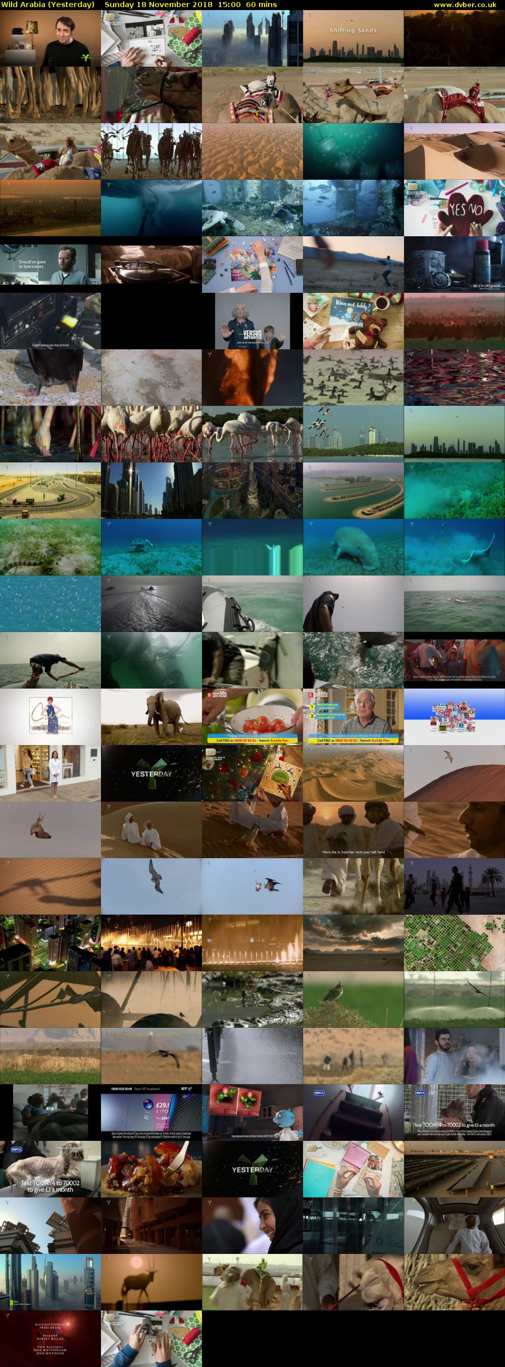 Wild Arabia (Yesterday) Sunday 18 November 2018 15:00 - 16:00