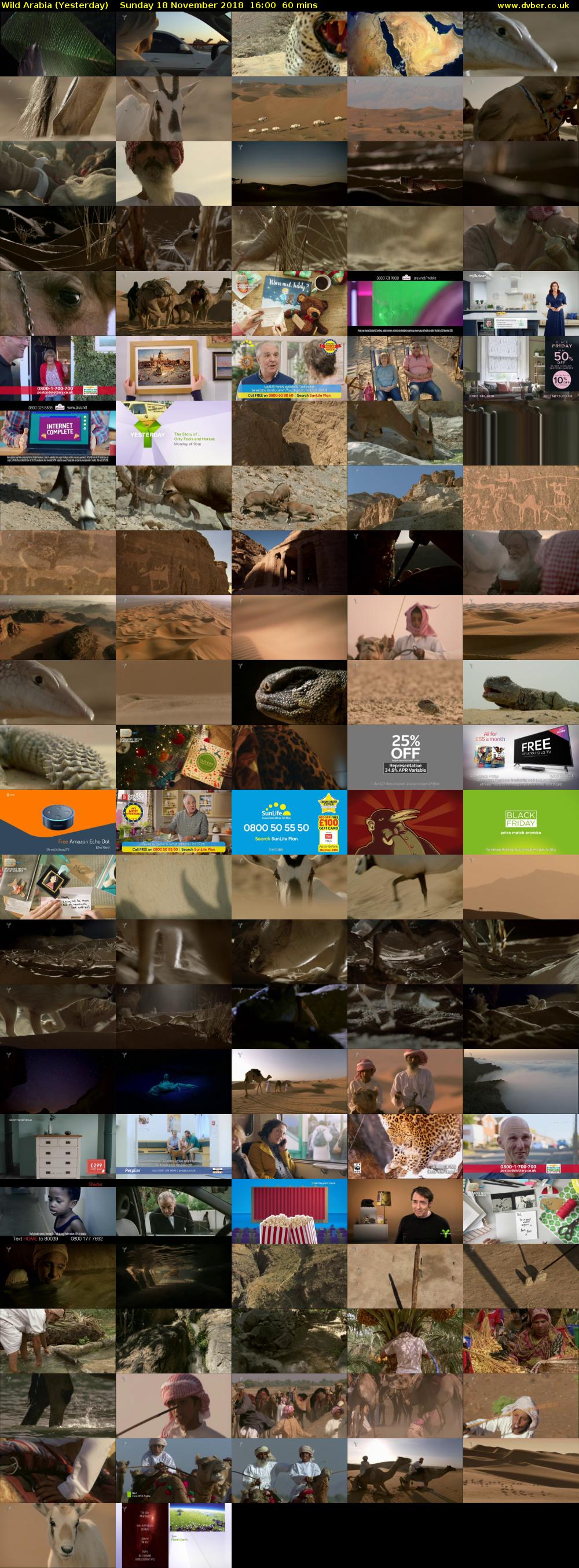 Wild Arabia (Yesterday) Sunday 18 November 2018 16:00 - 17:00