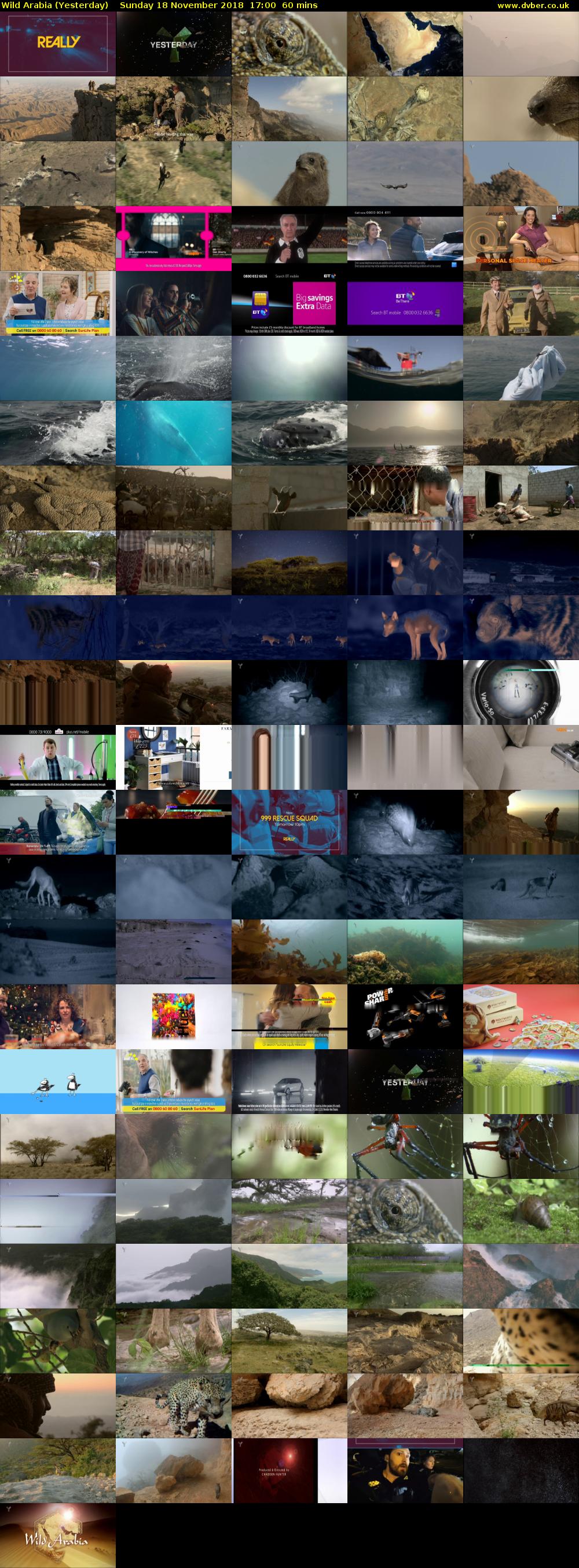 Wild Arabia (Yesterday) Sunday 18 November 2018 17:00 - 18:00