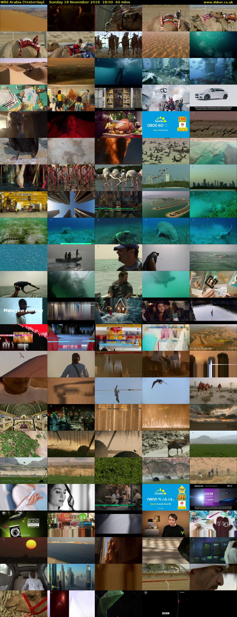 Wild Arabia (Yesterday) Sunday 18 November 2018 18:00 - 19:00