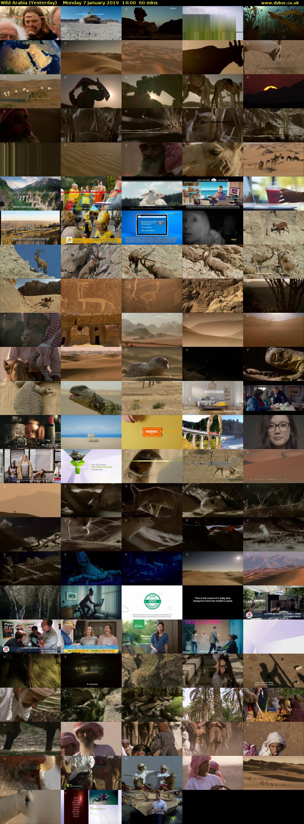 Wild Arabia (Yesterday) Monday 7 January 2019 14:00 - 15:00