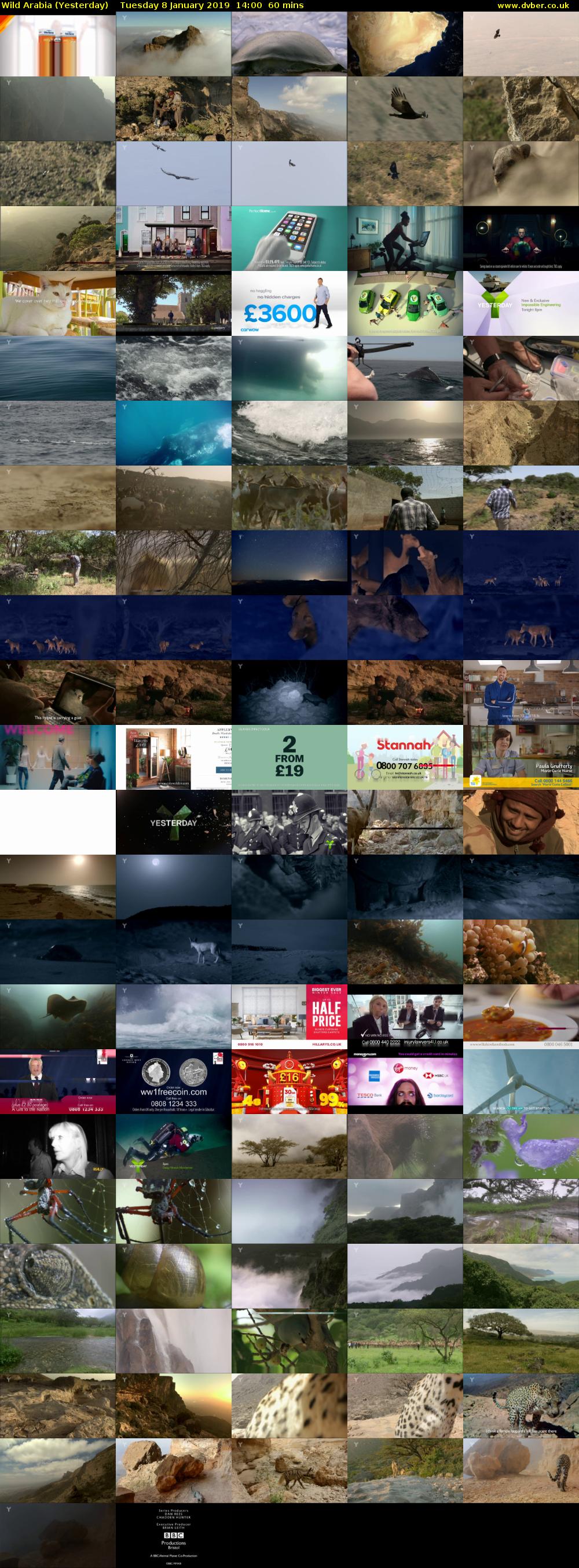Wild Arabia (Yesterday) Tuesday 8 January 2019 14:00 - 15:00
